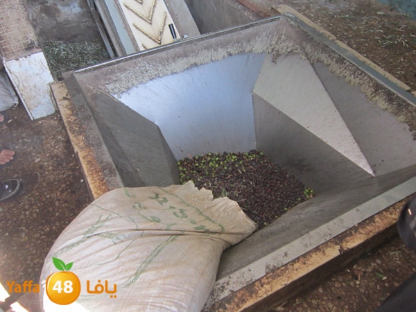 zatoon bayareq (18).JPG